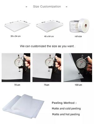 High Durability Polyester Film for Screen and Offset Printing on Garment at Best
