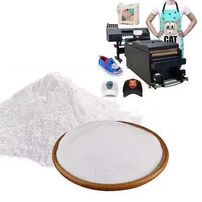 Textile Heat Transfer Black DTF Powder Adhesive Hot Melt DTF White Powder