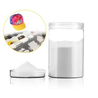 1kg Adhesive DTF Melting Powder TPU Hot Melt Powder For DTF Printer Printing