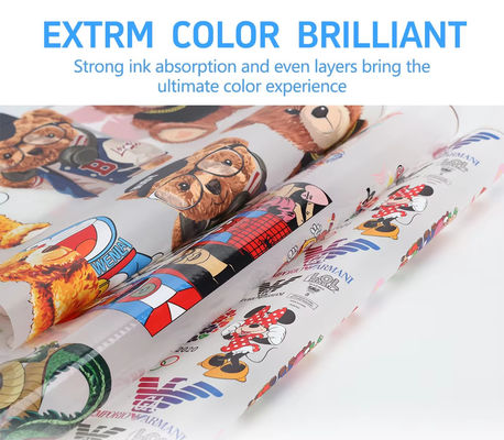 Cold Peel Single Side A3 30cm 33cm 60cm Width 100m Dtf Roll Paper