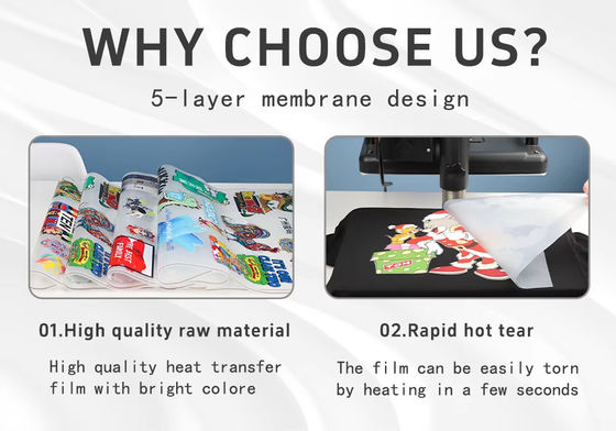 White Ink Printable DTF Transfer Film Roll Hot Peel High Stretchability for Print